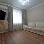 Квартира студия на ул. Кутуя - телевизор и диван