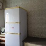 Трехкомнатная квартира на Восстания 61 в Казани - холодильник, микроволновка на кухне